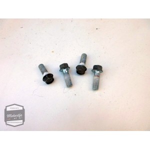Kawasaki KZ305LTD remschijfbouten / remschijf bouten